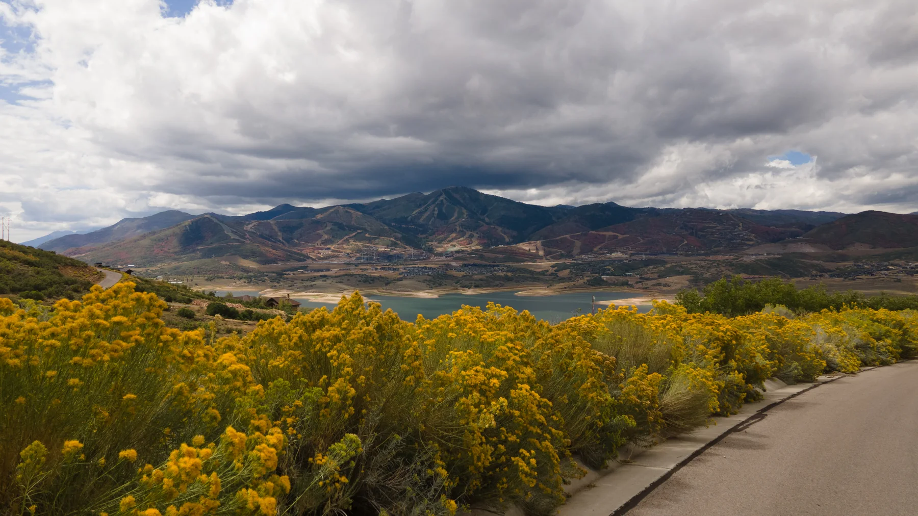 A walking path and wildflowers above Jordanelle Reservoir.